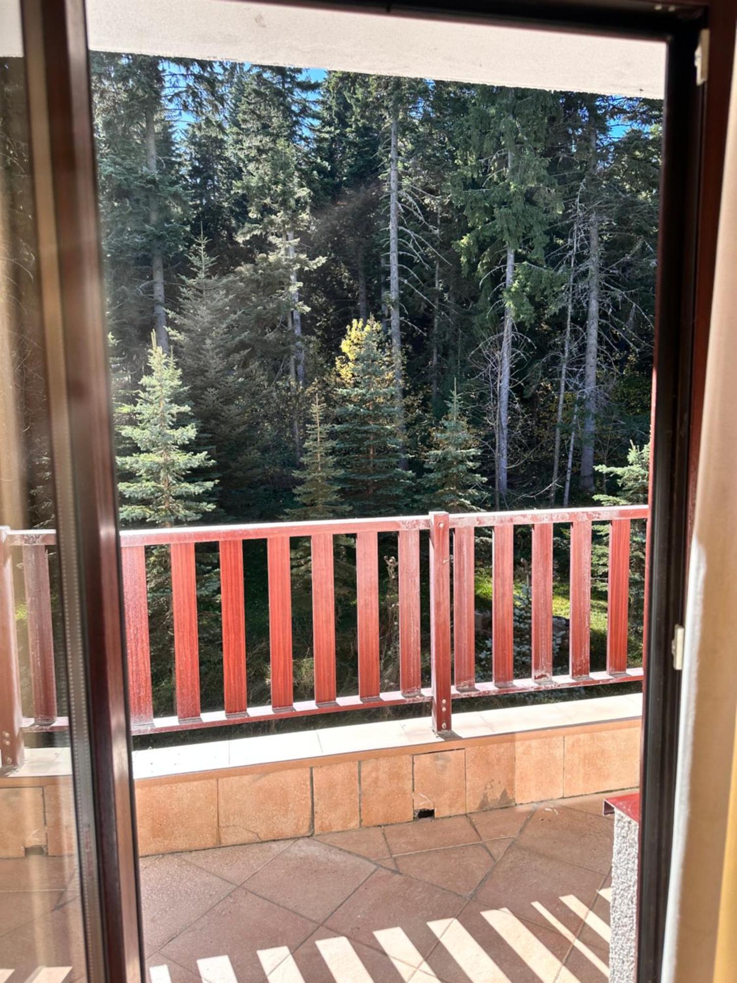 Pm Services Flora Apartments Borovets Exterior foto
