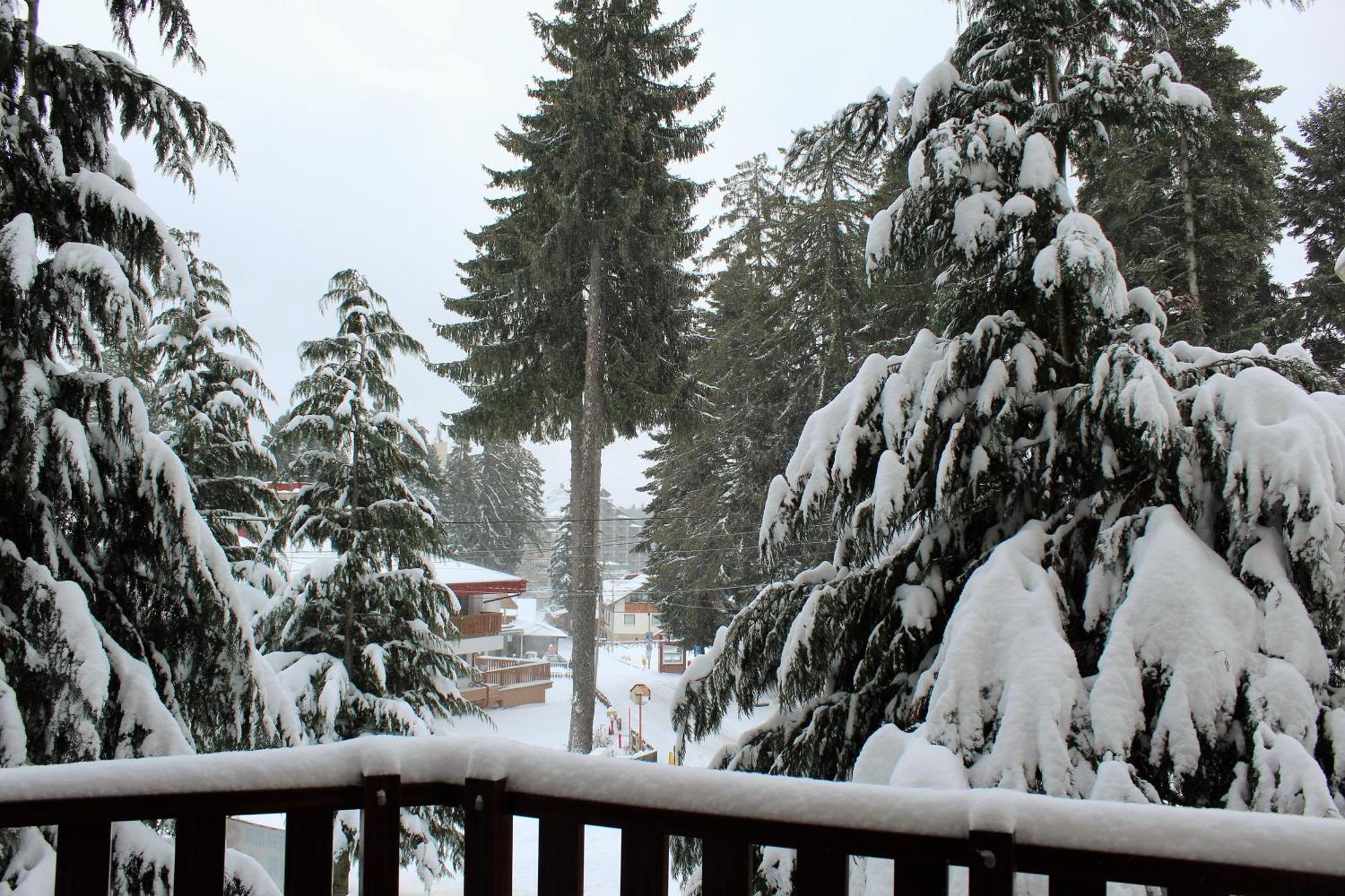 Pm Services Flora Apartments Borovets Quarto foto